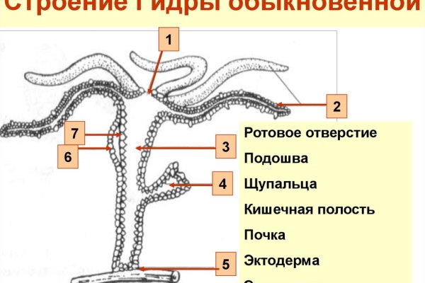 Сайт кракен тор